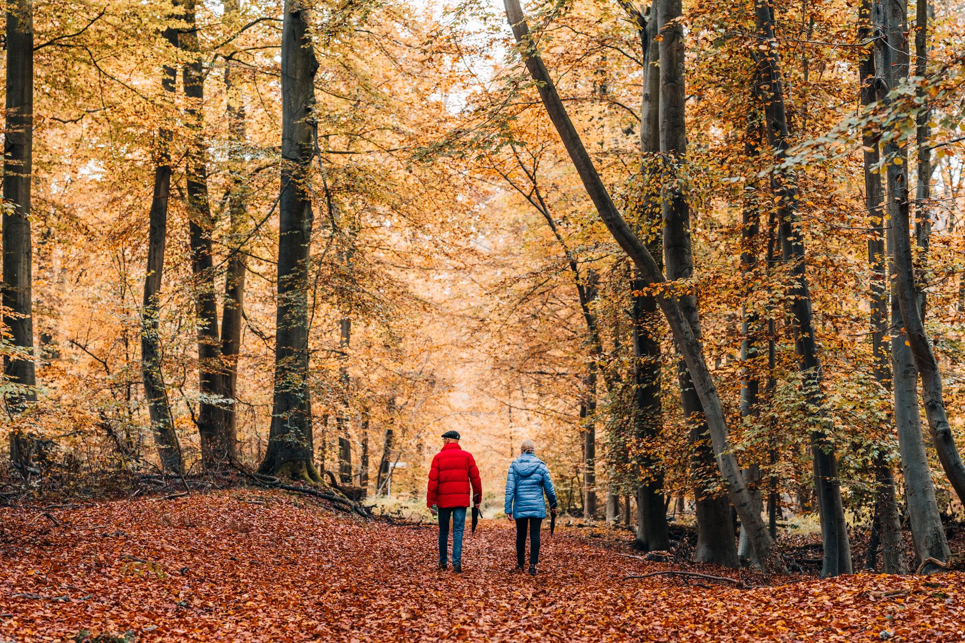 walk and talk, therapy, neuroplastic, LCSW